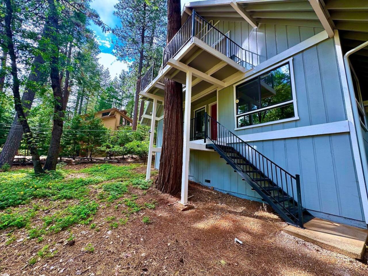 Cabin In The Trees-Game Room Pollock Pines Экстерьер фото
