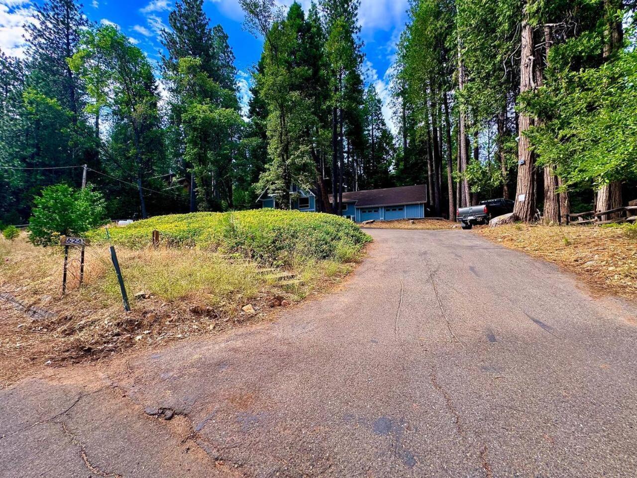 Cabin In The Trees-Game Room Pollock Pines Экстерьер фото