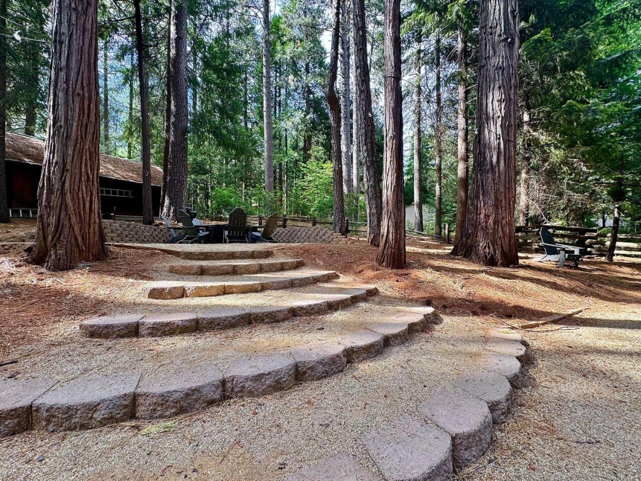Cabin In The Trees-Game Room Pollock Pines Экстерьер фото