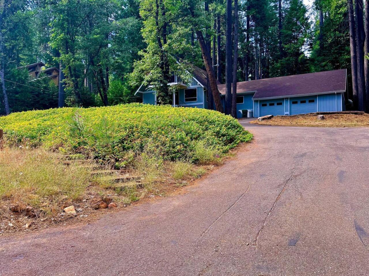 Cabin In The Trees-Game Room Pollock Pines Экстерьер фото
