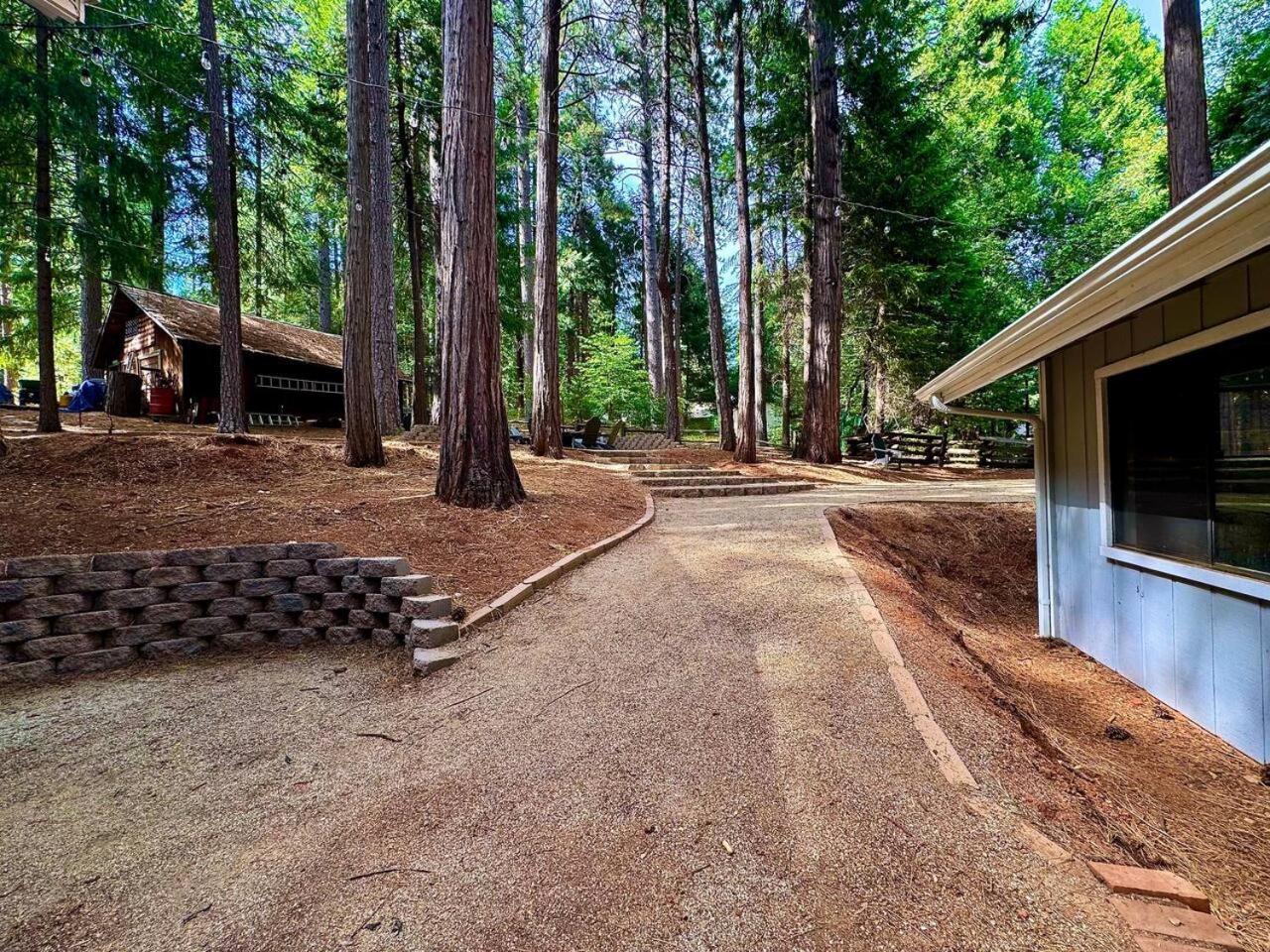 Cabin In The Trees-Game Room Pollock Pines Экстерьер фото