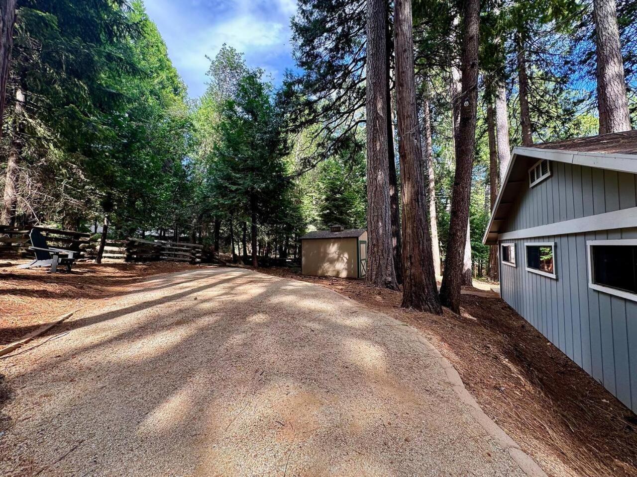 Cabin In The Trees-Game Room Pollock Pines Экстерьер фото